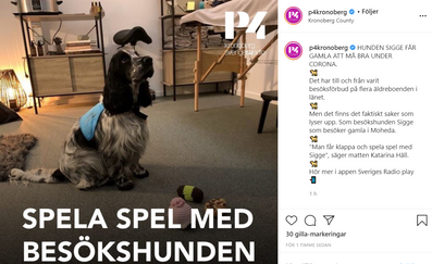 Besöks- och terapihunds verksamhet i Växjö, Tingsryd, Alvesta, Moheda, Lessebo, Vislanda, Ingelstad, Lammhult | lyckefriskvard.se